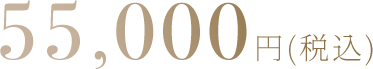 55,000円(税込)